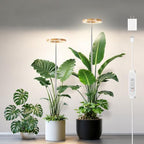 6.3in Grow Light for Indoor Plants, 15W Full Spectrum Halo Plant Lights by LPMZMBL