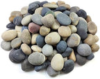 FANTIAN 40 lbs River Rocks for Landscaping, 2-3 Inch Garden Rocks Pebbles by FANTIAN-GardeningMakesLifeBetter