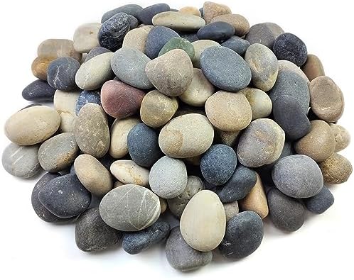 FANTIAN 40 lbs River Rocks for Landscaping, 2-3 Inch Garden Rocks Pebbles by FANTIAN-GardeningMakesLifeBetter