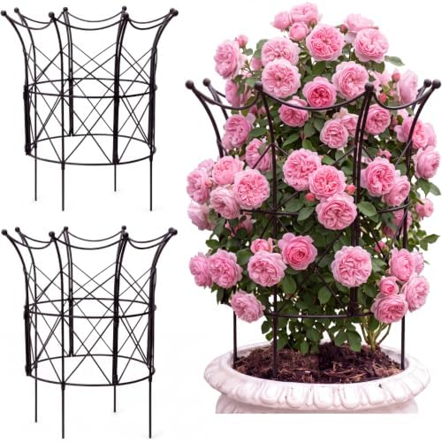 BreezeHug 2 Set Garden Obelisk Trellis Peony Cages and Supports, Crown by Unknown