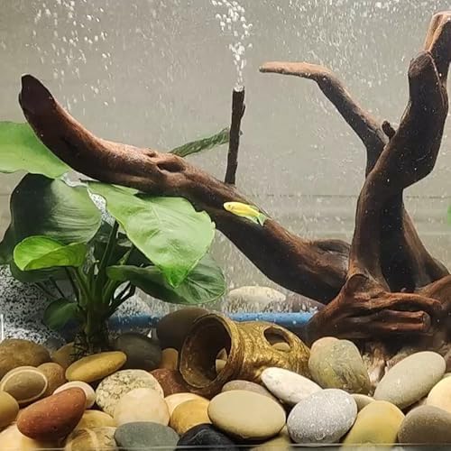 FANTIAN 10 lbs Large River Rocks, 3-4 Inch Pebbles for Landscaping - Image 5