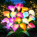 KOOPER Solar Calla Lily Lights Outdoor, 8 Pack, 40 Flower, Color Changing by KOOPER