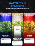 MetryGrow Plant Grow Light, [Smart APP 2x3 Ft Coverage] Genuine 100W Output LED Full Spectrum for Indoor Plants, 8-Level Brightness (Use Daisy-Chaining Hanging, Only Light Panel，No Control Panel) - Image 6