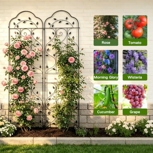 hogardeck 4 Packs 84 * 19 inch Metal Garden Trellis for Climbing Plants Outdoor,Heavy Duty,Black Coating Rustproof Trellis for Rose, Vegetable, Flowers, Expandable,Perfect for Training Climbing Plants - Image 5