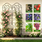 hogardeck 4 Packs 84 * 19 inch Metal Garden Trellis for Climbing Plants Outdoor,Heavy Duty,Black Coating Rustproof Trellis for Rose, Vegetable, Flowers, Expandable,Perfect for Training Climbing Plants - Image 5