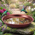 Bird Bath Bowl Outside, Large Bird Bath Bowl Replacement, Standing by Dunkive