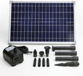 25W Solar Panel with Dry-Run Water Pump KIT (No Backup Battery) by AEO