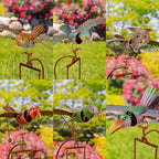 Zaer Ltd. Metal Rocking Bird Garden Stakes, 53 Inch Tall, Colorful Hand-Painted Birds, Spring Motion (Set of 6) by ZaerLtd
