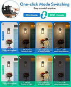 VIANIS Motion Sensor Outdoor Light, Dusk to Dawn Outdoor Lighting for House - Image 2