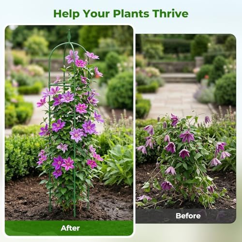 2 Pack Garden Obelisk Trellis for Climbing Plants, 6 FT Metal Rustproof Plant Support Rose Trellis, Tower Potted Cages for Flowers Fruits Vegetable Vines Indoor & Outdoor, Green(4 Tiers) - Image 3
