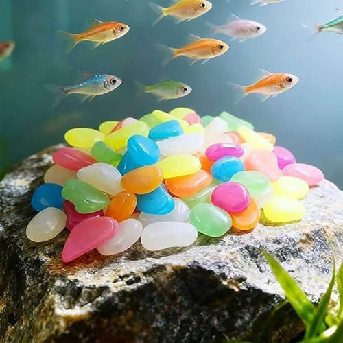 Colorful Glow-in-the-Dark Garden Stones | Solar Powered Luminous Pebbles for Outdoor Walkway, Aquarium & Yard Decor (Muticolor, 1000) - Image 6