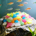 Colorful Glow-in-the-Dark Garden Stones | Solar Powered Luminous Pebbles for Outdoor Walkway, Aquarium & Yard Decor (Muticolor, 1000) - Image 6