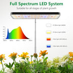 Aumtrly Grow Light Black 3 Pack, Full Spectrum Plant Light, Timer with Base - Image 3