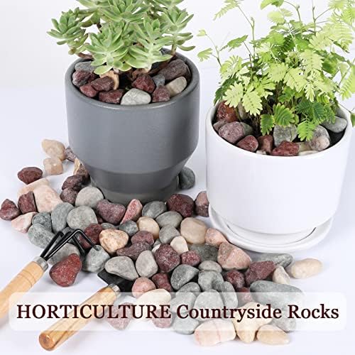 11lbs Natural River Rocks, Polished Pebbles for Plants Garden, 1-2 inch Decorative Countryside Stones, Ideal for Fish Tank, Vases, Crafting, Garden Landscaping Rocks,Countryside - Image 3