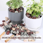 11lbs Natural River Rocks, Polished Pebbles for Plants Garden, 1-2 inch Decorative Countryside Stones, Ideal for Fish Tank, Vases, Crafting, Garden Landscaping Rocks,Countryside - Image 3