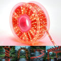 100ft Rope Lights For Outside, Connectable & Flexible Tube Lights with 8 Modes Controller,Waterproof Red LED Rope Lighting for Deck,Garden,Pool,Patio,Bedroom,Party,Indoor & Outdoor Landscape Lighting by CHORLED