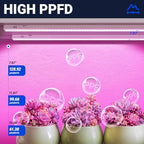 Barrina T5 Grow Lights for Indoor Growth, 4FT Plant Lights, Pink, 8 Packs - Image 3