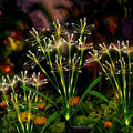 Solar Garden Lights Outdoor, 6 Pack Swaying Fairy Firework Lights Warm by Unknown