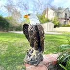 24.4" Tall Large Standing Bald Eagle Garden Statue Sculpture American Eagle - Image 4