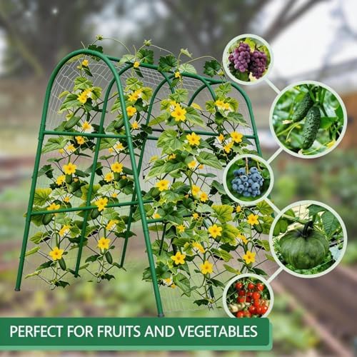 5.4FT Garden Trellis Arch for Climbing Plants, Cucumber & Melon Trellis for Raised Beds, u-Shape Plant Support with Plastic Connectors for Vegetables, Peas, Tomatoes,﻿ Cucumber - Image 3