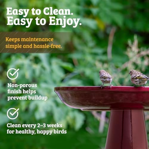 Birds Choice Ohio Stoneware Pedestal Bird Bath | 22" x 17" | Summer Green - Image 5