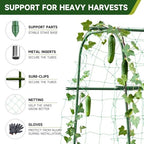 HIRALIY Cucumber Trellis for Climbing Plants, 4ft Tall, Green - Image 5