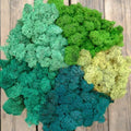 Preserved Reindeer Moss Natural Green DIY Kit Gardenning Art Wall Decor Florist Decor Easter Table Decor Wedding by %E7%8E%B0%E5%9C%A8%E8%B4%AD%E4%B9%B0