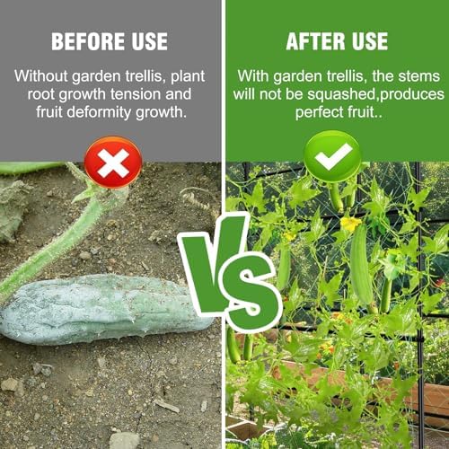 unho 63inch Garden Trellis Arch: for Climbing Plants with Net Metal - Image 6