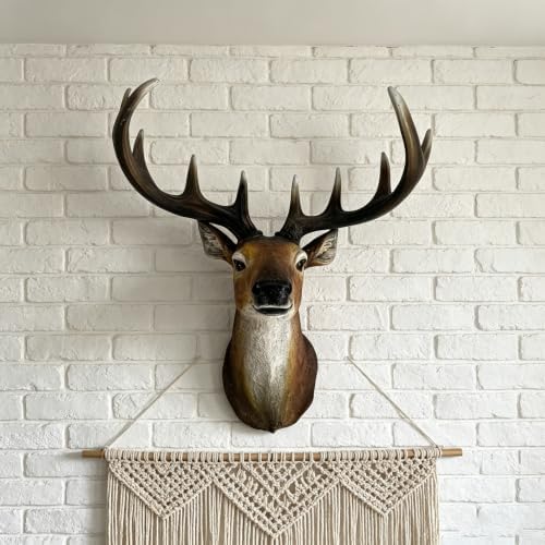 18.9" Deer Head Wall Decor, Resin Stag Bust with Antlers, Rustic Wildlife Wall Mount Sculpture for Cabin, Lodge, Farmhouse, Man Cave, Living Room & Office Decor by Unknown