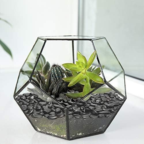 10lb Black Small Decorative Pebbles - Gravel River Rock,Natural Polished Decorative Stones 3/8" Gravel Size,Pebbles Gravel for Bamboo Plants,Succulent,Home Decor,Landscaping,Vase Fillers and More. - Image 4