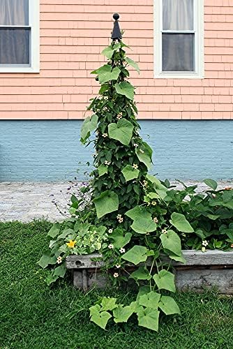 Achla Designs OBL-02A Garden Obelisk, 85" H Trellis, Graphite - Image 4