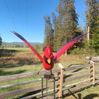 Esschert Staked Metal Giant Flying Cardinal Rocker, 84" H - Image 2
