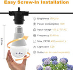 Grow Lights Hanging for Indoor Plants - Full Spectrum LED String Grow Light Bulbs with E26 Base，Waterproof 45W Durable Plant Lighting for Seeds, Flowers, Succulents, Indoor & Outdoor Use (3 Lights) - Image 2