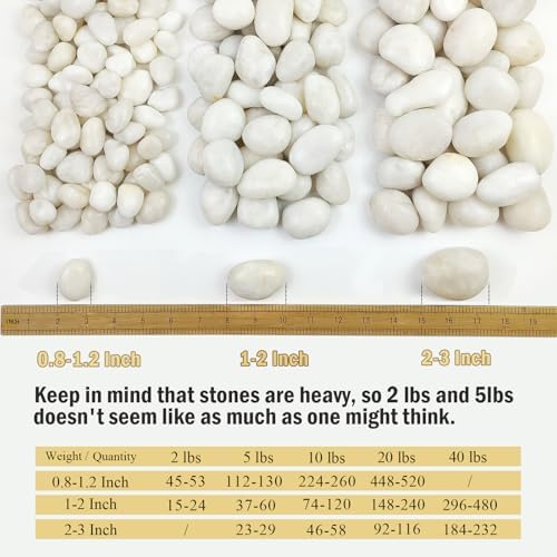 FANTIAN 10 lbs Large River Rocks for Landscaping, 2-3 Inch Polished White Pebbles for Plants, Decorative White Stones for Planters Vase Aquarium and Outdoor Garden Rocks - Image 2