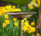 Westcharm 28 Inch Lightweight Poly Resin Outdoor Birdbath for Outside with Decoration Pedestal Base Stand - Pedestal Bird Bath for Outdoors Yard and Garden - Antique Bronze - Image 4