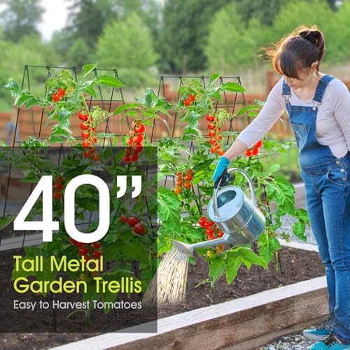 RIFNY Cucumber Trellis for Raised Bed, Garden Trellis 16.5 x 40 Inch, Green - Image 3