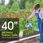 RIFNY Cucumber Trellis for Raised Bed, Garden Trellis 16.5 x 40 Inch, Green - Image 3