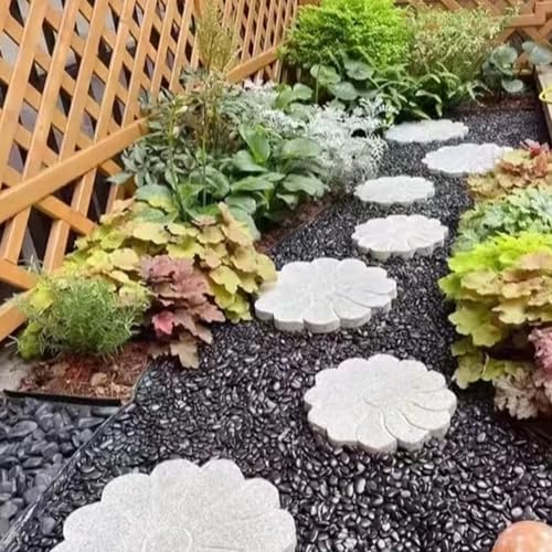 FANTIAN 10 lbs Small Black Pebbles for Indoor Plants. 3/8 inch Decorative Black River Rocks for Succulent Potted Plant, Vase, Landscaping and Outdoor Garden Rocks - Image 4