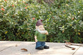 Hi-Line Gift Ltd, Gnome Smoking, 9.75-inch Height, Indoor Outdoor Statue Figurine by HI-LINEGIFTLTD