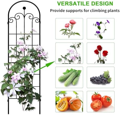 LZRS 71x80in Rustic Iron Arch Decoration Garden Trellis with Black Metal Coating – Perfect for Supporting Climbing Plants Outdoor, Roses, Vines, Flowers, and Vegetables. - Image 4