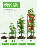 3 Pack Tomato Cages,Square Tomato Plant Stakes Support Cages Trellis for Garden Climbing Vegetables Flowers Fruits,Extra Bold - Image 3