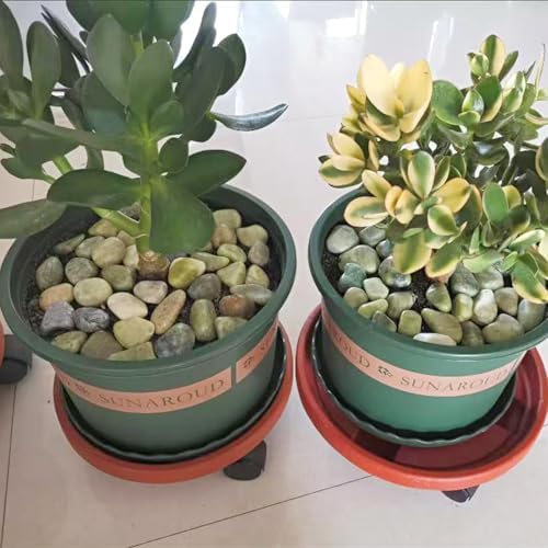 FANTIAN 20 lbs Jade River Rocks for Landscaping, 1-2 Inch Decorative Pebbles River Stones for Plants Indoor, Vases, Yard, Crafting and Garden - Image 5