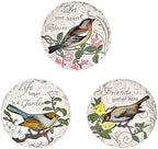 Kunovo 3pcs Garden Décor Stepping Stone, Dimensional Round Walkway Path Stones with Butterflies, Animals or Birds Print, Fun Cute Yard Lawn Step Stone (Size : Birds), 58741 by Kunovo