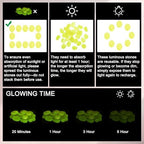 M METERXITY 50-Pack Glow in The Dark Rocks, 1.77" Resin Outdoor Garden Decorations Luminous Pebbles Stones for Garden Plants/Aquarium/Backyard Path, Aquarium Gravel [Yellow] - Image 4