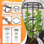 65 Inch Garden Trellis for Climbing Plants Outdoor, Mushroom Top Trellis for Potted Plants, Vines, Roses, Clematis, and Vegetables, Plant Trellis Support 2 Pack - Image 4