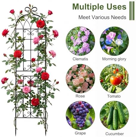 2.2M（86.7" H x 19.7" W） Black Iron Garden Trellis for Climbing Plants, 4PCS Metal Flower Support with Scroll Design & Powder Coating, Outdoor Decor for Roses, Vines, Patio, Yard, Fence - Image 5