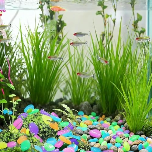 Colorful Glow in The Dark Pebbles, Premium Luminous Garden Rocks, Waterproof Fluorescent Decor Stones for Outdoor Pathway Fish Tank Home Decoration(800pcs) - Image 5