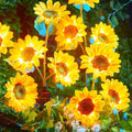 Brightown Solar Garden Lights, 4 Pack Sunflowers Flower Lights Waterproof by Brightown