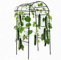 Garden Arch Trellis for Raised Beds, 6.8x3x2.6FT Plant Support for Cucumbers, Melons, Grapes, Roses & Climbing Vegetables, Outdoor Rust-Resistant Trellis for Vertical Growing, Black by Garvee