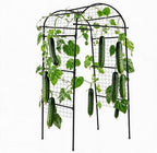 Garden Arch Trellis for Raised Beds, 6.8x3x2.6FT Plant Support for Cucumbers, Melons, Grapes, Roses & Climbing Vegetables, Outdoor Rust-Resistant Trellis for Vertical Growing, Black by Garvee